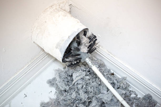 Best Emergency Air Duct Cleaning  in Donaldsonville, LA